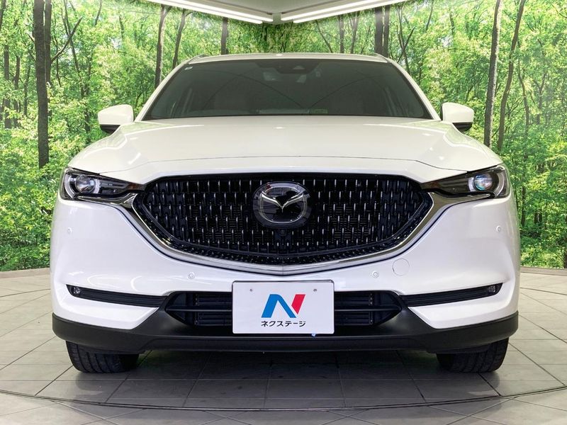 2022 Mazda CX-8 3da-kg2p (UW-6a73fb5c6be0f)[9]