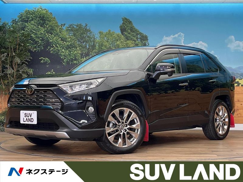 2019 Toyota RAV4 6BA-MXAA54 (UW-6a73fc483ae7f)[3]