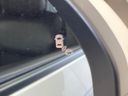 2023 Honda Step Wagon 6AA-RP8 (UW-6a73fcd66b022)[21]