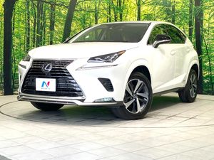 2021 Lexus NX 6AA-AYZ10
