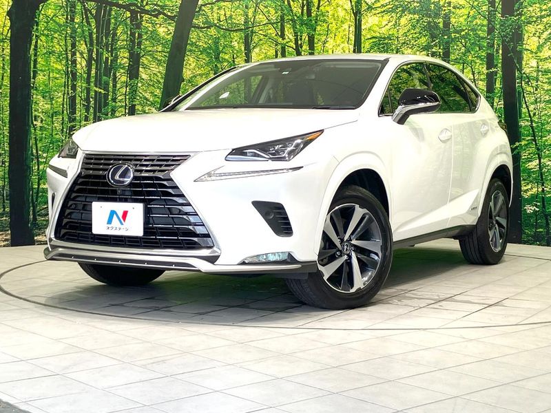 2021 Lexus NX 6AA-AYZ10 (UW-6a754b7c16ec4)[0]