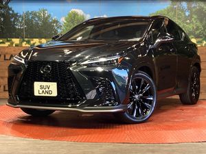 2024 Lexus NX 6AA-AAZH25
