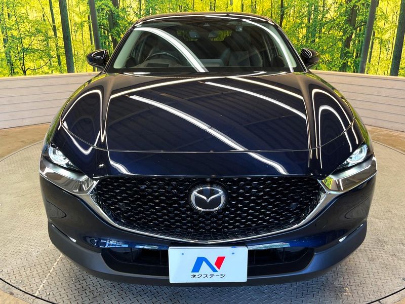 2020 Mazda CX-30 5BA-DMEP (UW-6a769d67c1e07)[15]