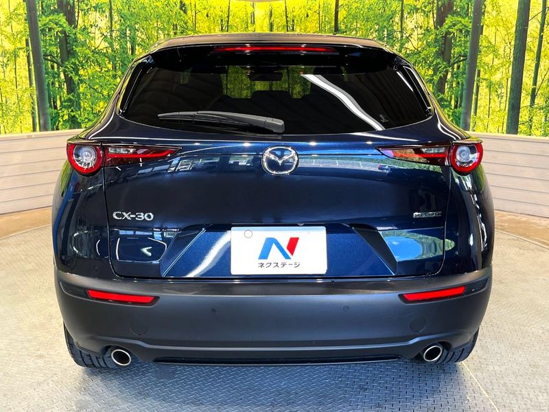 2020 Mazda CX-30 5BA-DMEP (UW-6a769d67c1e07)[12]