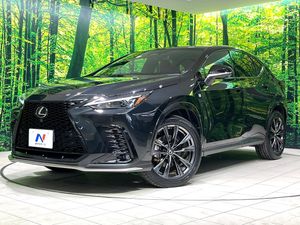 2023 Lexus NX 6AA-AAZH20