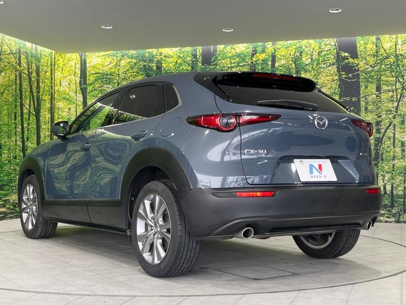 2020 Mazda CX-30 3DA-DM8P (UW-6a77eec9060a1)[15]