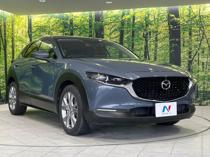 2020 Mazda CX-30 3DA-DM8P (UW-6a77eec9060a1)[8]