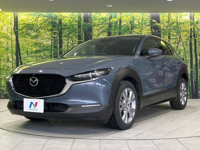 2020 Mazda CX-30 3DA-DM8P (UW-6a77eec9060a1)[6]