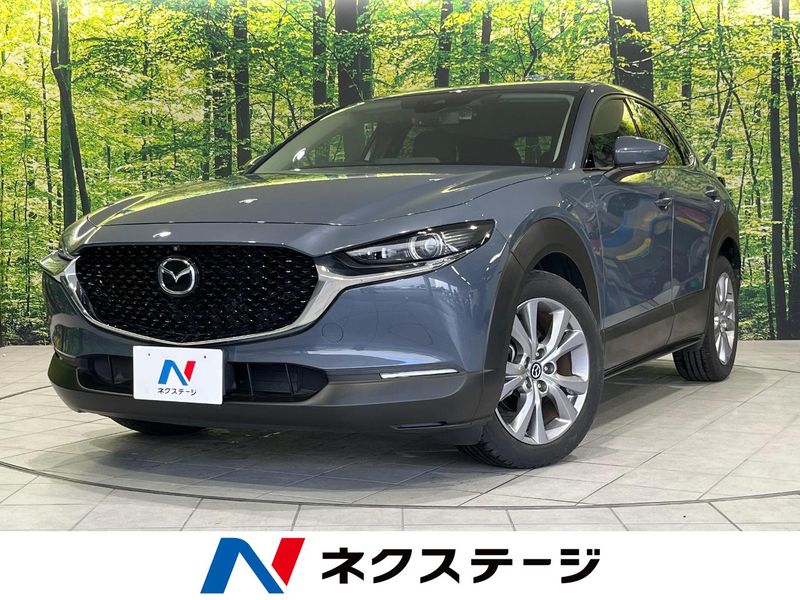 2020 Mazda CX-30 3DA-DM8P (UW-6a77eec9060a1)[3]