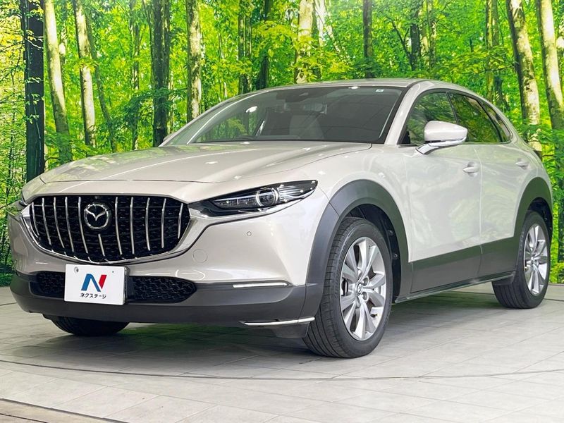 2022 Mazda CX-30 5BA-DMEP (UW-6a77eeccad957)[4]