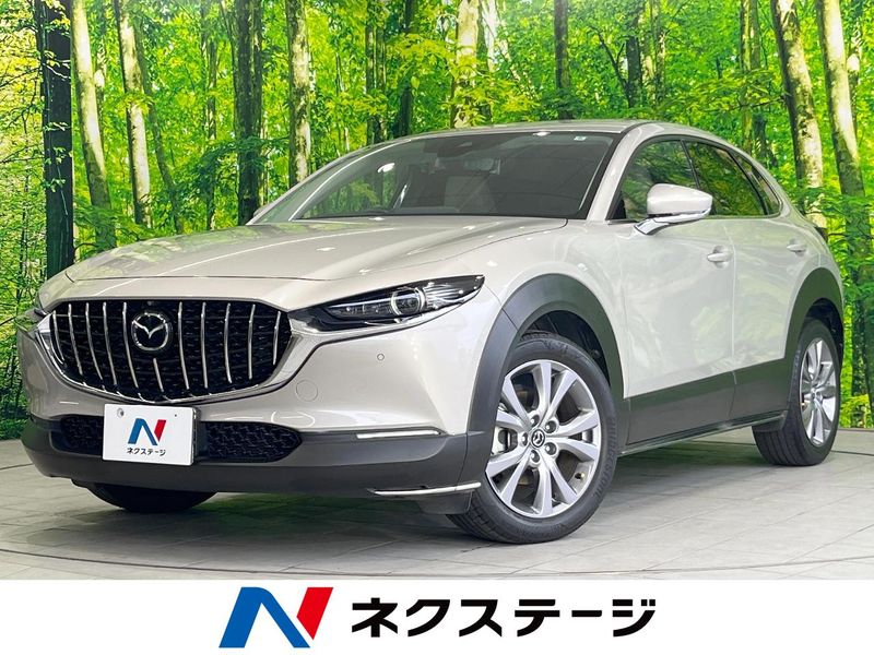 2022 Mazda CX-30 5BA-DMEP (UW-6a77eeccad957)[3]