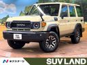 2025 Toyota Land Cruiser 70 3DA-GDJ76W (UW-6a77eef94d0f1)[3]