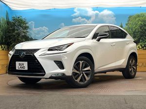 2018 Lexus NX DBA-AGZ10