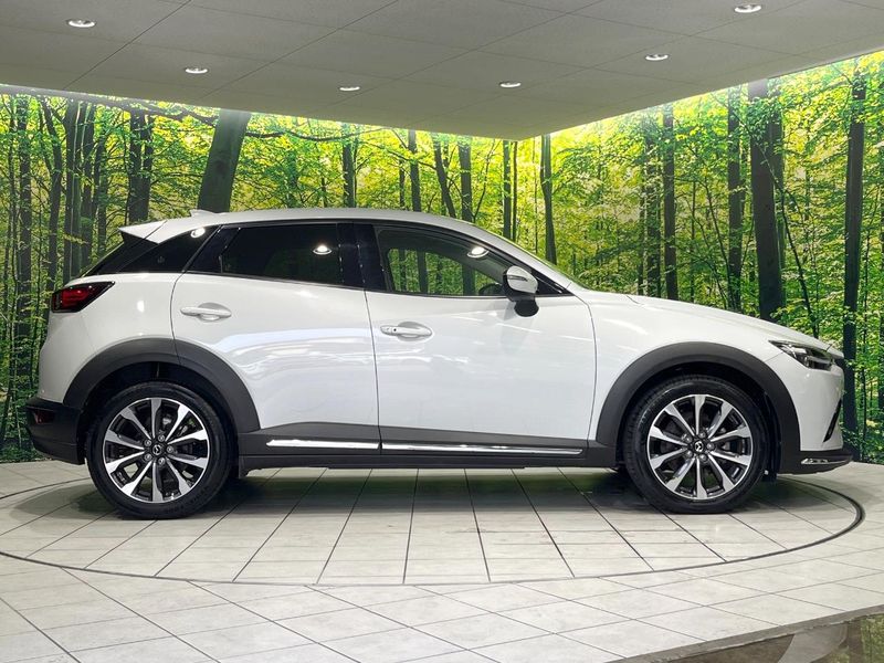 2020 Mazda CX-3 3DA-DK8FW (UW-6a79403763704)[17]