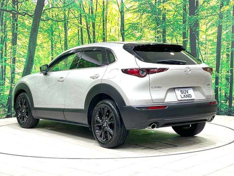 2024 Mazda CX-30 5AA-DMEJ3R (UW-6a79403a8bb70)[11]