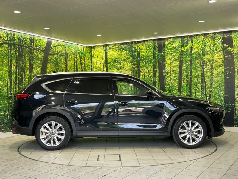 2018 Mazda CX-8 3da-kg2p (UW-6a794149ad355)[7]