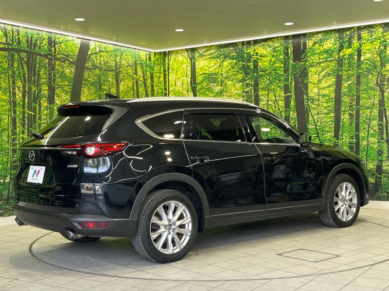 2018 Mazda CX-8 3da-kg2p (UW-6a794149ad355)[8]