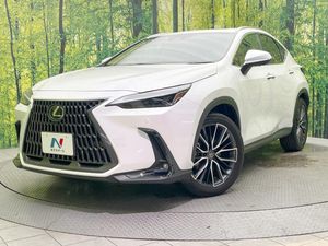 2023 Lexus NX 6AA-AAZH20