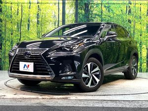 2019 Lexus NX DAA-AYZ10