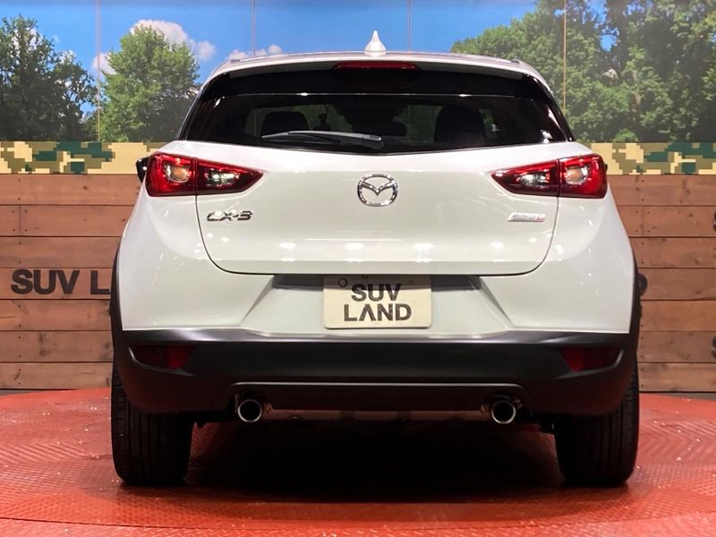 2015 Mazda CX-3 LDA-DK5FW (UW-6a7a91bcbd40c)[18]