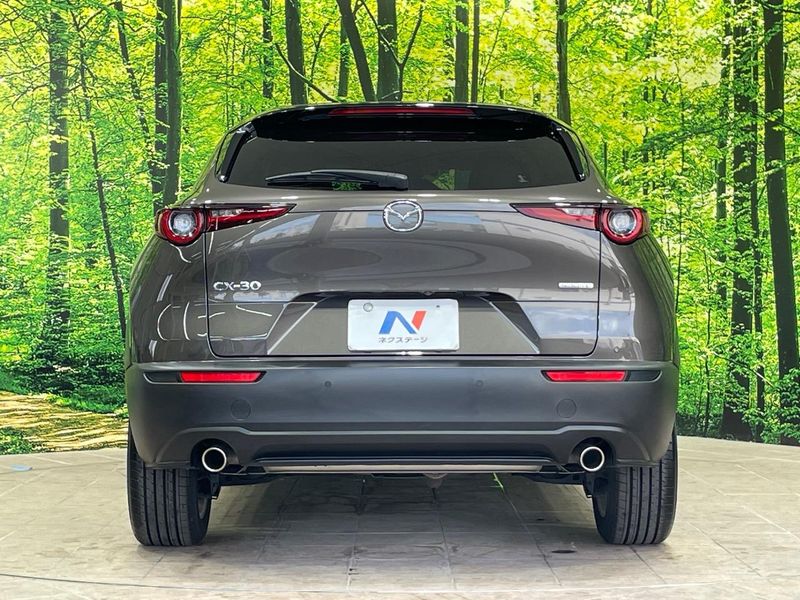 2020 Mazda CX-30 5BA-DMEP (UW-6a7a91c11f8c9)[8]