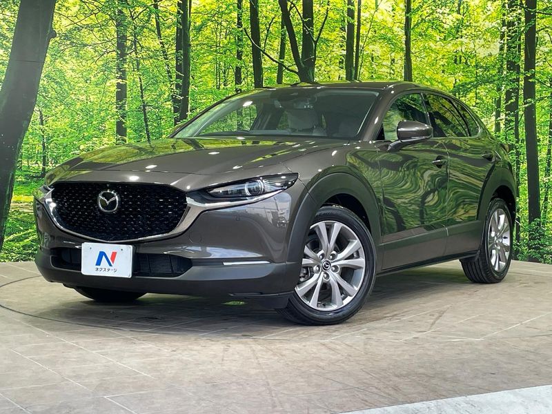 2020 Mazda CX-30 5BA-DMEP (UW-6a7a91c11f8c9)[0]