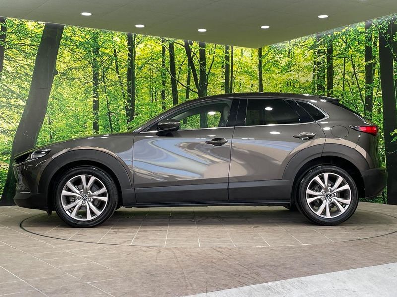 2020 Mazda CX-30 5BA-DMEP (UW-6a7a91c11f8c9)[10]