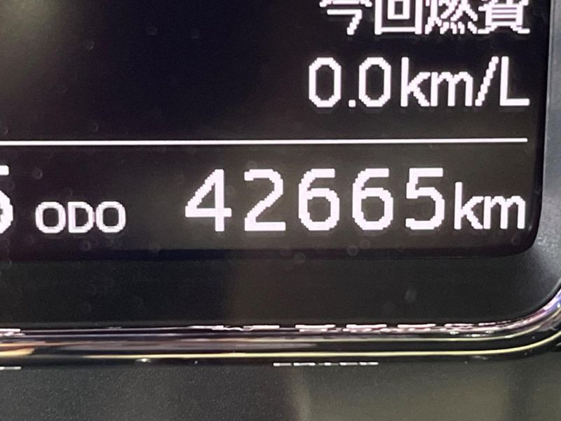 2020 Daihatsu Mira Tocot 5BA-LA550S (UW-6a7a92fec5d3b)[2]
