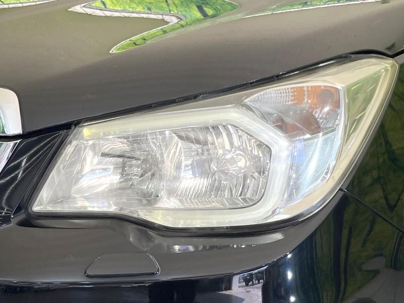 2014 Subaru Forester DBA-SJ5 (UW-6a7a947d77f0b)[10]