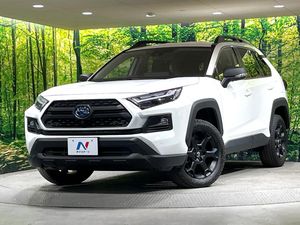 2024 Toyota RAV4 6AA-AXAH54