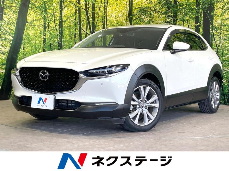 2021 Mazda CX-30 3DA-DM8P (UW-6a7be32f8a5dc)[3]