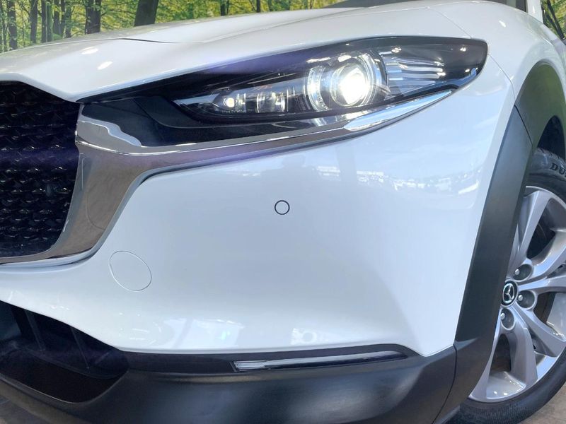 2021 Mazda CX-30 3DA-DM8P (UW-6a7be32f8a5dc)[6]