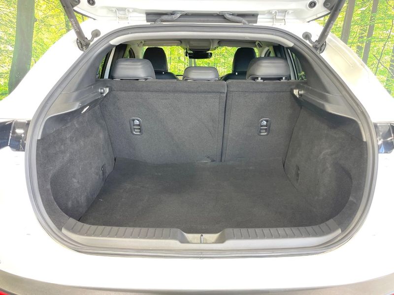2021 Mazda CX-30 3DA-DM8P (UW-6a7be32f8a5dc)[22]