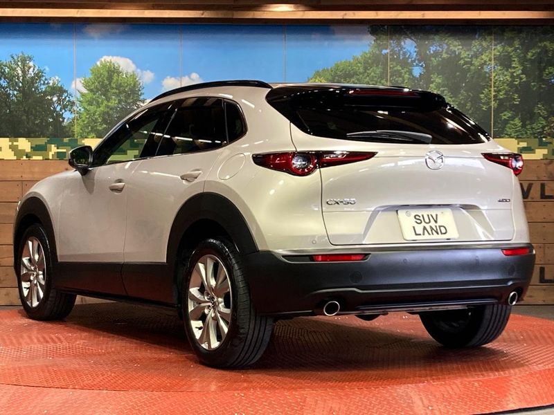 2023 Mazda CX-30 5AA-DMEJ3P (UW-6a7be3304bc5e)[19]