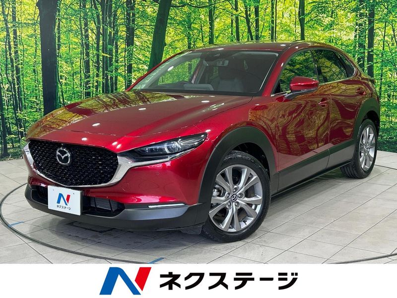 2020 Mazda CX-30 5BA-DMEP (UW-6a7be3318733f)[3]