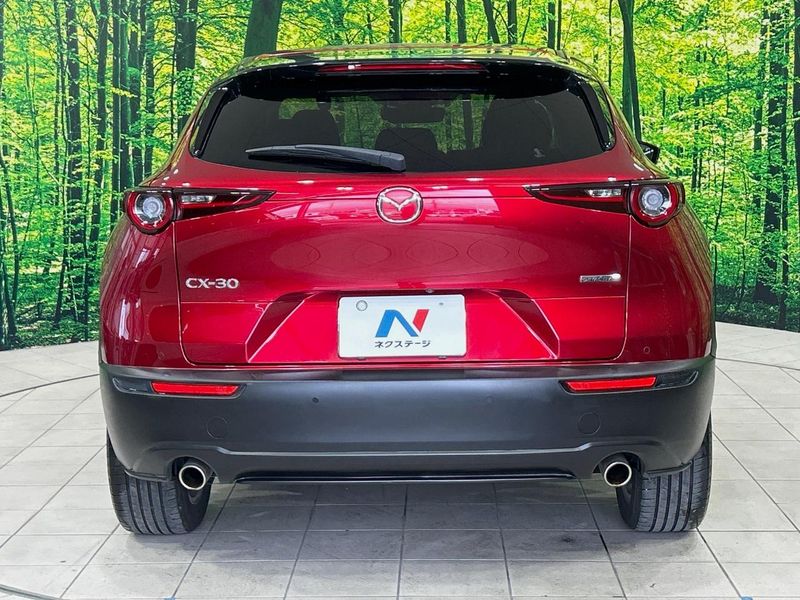 2020 Mazda CX-30 5BA-DMEP (UW-6a7be3318733f)[17]