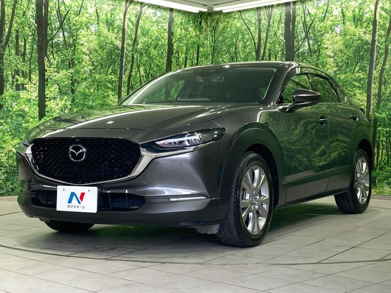 2020 Mazda CX-30 3DA-DM8P (UW-6a7d346ec21bc)[4]