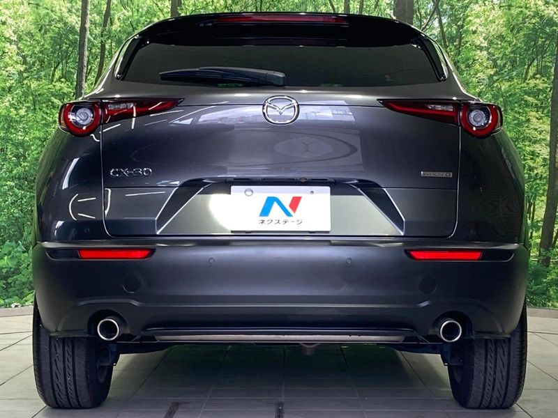 2020 Mazda CX-30 3DA-DM8P (UW-6a7d346ec21bc)[20]