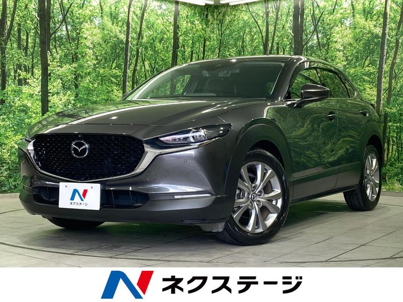 2020 Mazda CX-30 3DA-DM8P (UW-6a7d346ec21bc)[3]