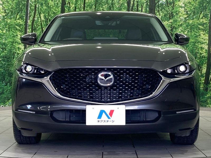 2020 Mazda CX-30 3DA-DM8P (UW-6a7d346ec21bc)[5]