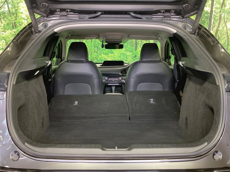 2020 Mazda CX-30 3DA-DM8P (UW-6a7d346ec21bc)[10]