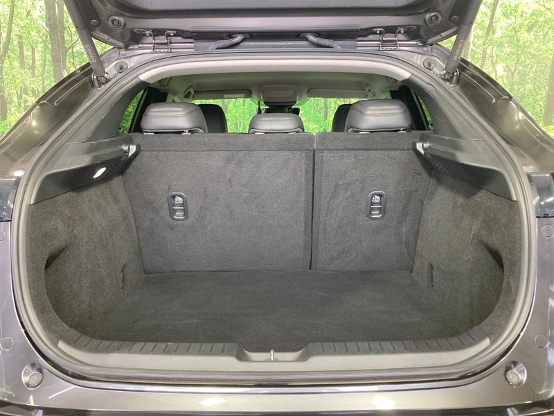 2020 Mazda CX-30 3DA-DM8P (UW-6a7d346ec21bc)[13]