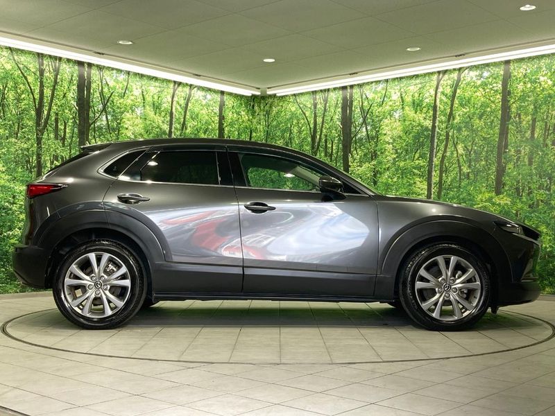 2020 Mazda CX-30 3DA-DM8P (UW-6a7d346ec21bc)[7]