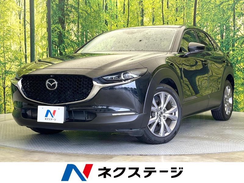 2020 Mazda CX-30 3DA-DM8P (UW-6a7d346f14ea3)[3]