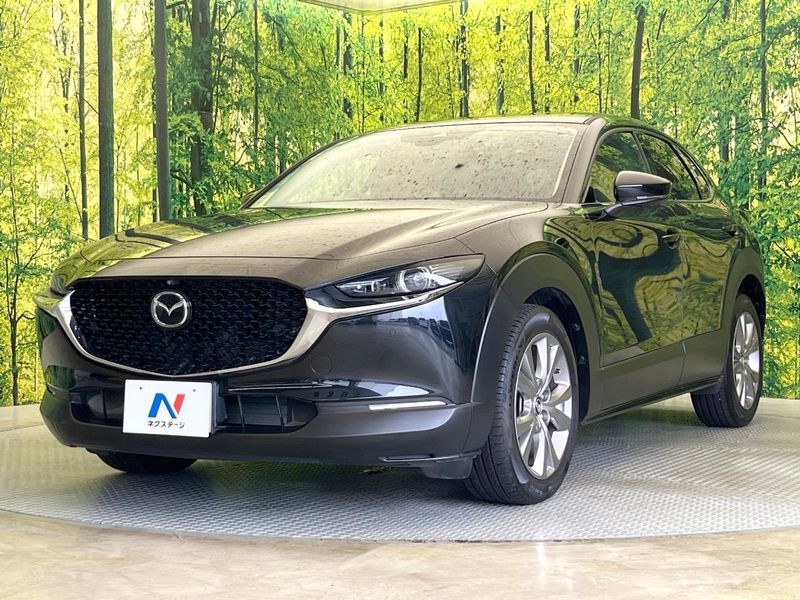 2020 Mazda CX-30 3DA-DM8P (UW-6a7d346f14ea3)[23]