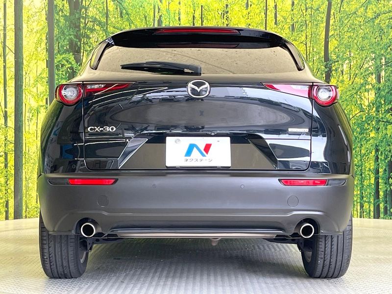 2020 Mazda CX-30 3DA-DM8P (UW-6a7d346f14ea3)[29]