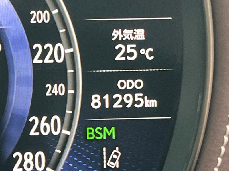 2018 Lexus LS DAA-GVF55 (UW-6a7d34cbdee84)[2]