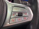 2019 BMW 7 Series 3BA-7R30 (UW-6a7d371c1fdba)[22]