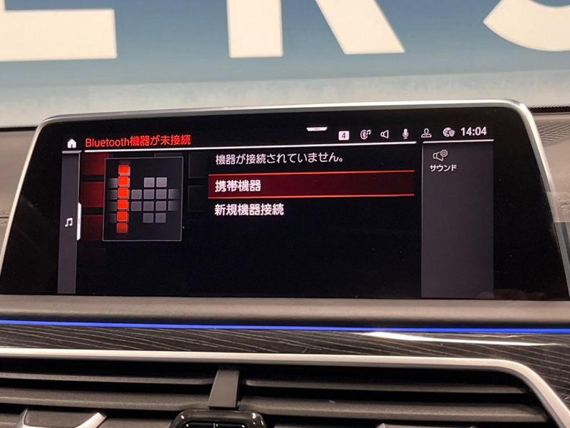 2019 BMW 7 Series 3BA-7R30 (UW-6a7d371c1fdba)[6]