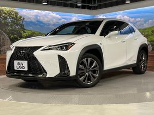2020 Lexus UX 6AA-MZAH10